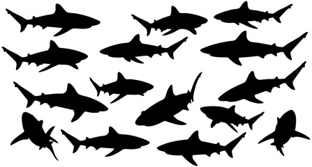 Silhouette Collection of Marine Life Shark, Ocean Animal Illustration