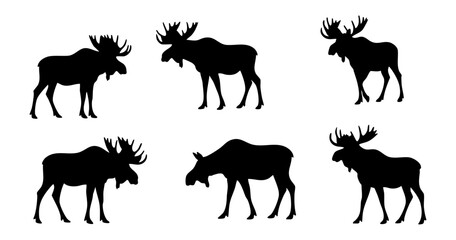 Silhouette Standing Moose Animal Illustration Set Wildlife North America Fauna