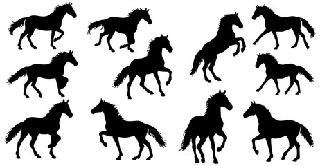 Silhouette Detailed Horse Running And Standing Animal Illustration Collection