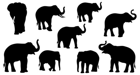 Silhouette Diverse Poses Elephant Herd Wild African Wildlife Illustration