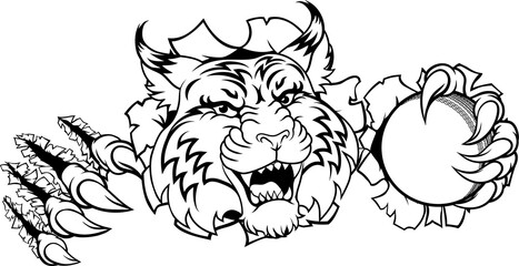 Wildcat Bobcat Cricket Ball Animal Team Mascot