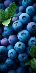 fresh blueberries in the market