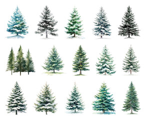 Fototapeta premium Watercolor snowy evergreen trees collection.