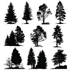Fototapeta premium Collection of black and white evergreen tree silhouettes