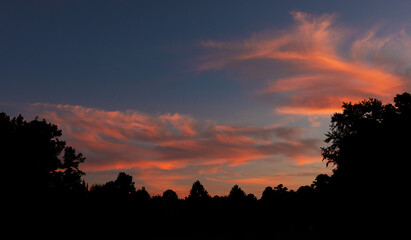 Colorful sunrise over a thick North Carolina forest
