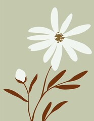 white flowers on a white background