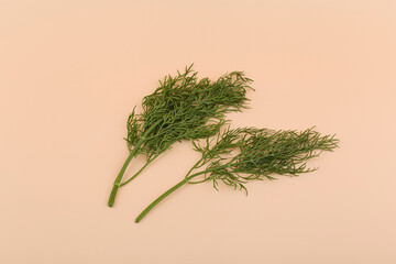 Fresh green dill herb on white background