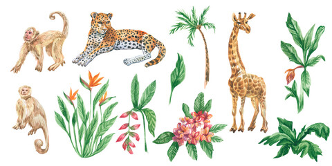 Tropical clip art, painted in watercolour on a white isolated background. Children's botanical and animalistic collection of illustrations. Designs for greeting cards, stickers, social media, posters.