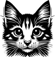 vector illustration of a cat