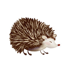 Adorable hedgehog on all fours-a whimsical hand drawn illustration combining watercolor textures and colored pencil details in playful cartoon style.Designed for stickers,postcard collections,books