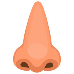 Illustration of a human nose 