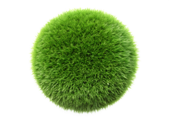 Green grass sphere with fluffy texture isolated on a transparent background ball