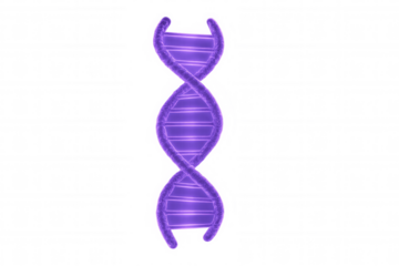 Dna double helix structure glowing purple, symbolizing genetics, science, and biotech innovation. Transparent background