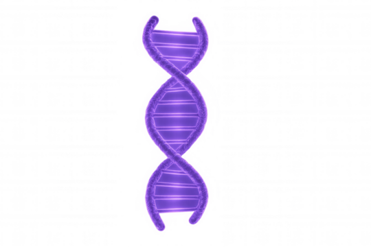 Dna double helix structure glowing purple, symbolizing genetics, science, and biotech innovation. Transparent background