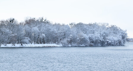 white nature frozen winter waters and island trees January landscape panorama environment space