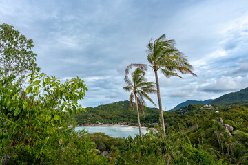 Naklejka premium View of Chalok Baan Kao Bay from the hiking trail to John-Suwan Viewpoint, Koh Tao, Thailand