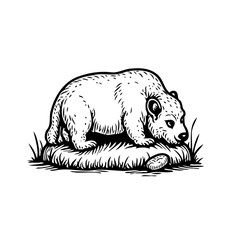 Monochrome etching illustration of a bear resting on a nest wildlife nature animal protection