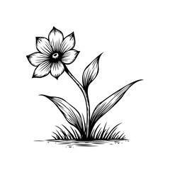Monochrome floral drawing featuring a simple flower with delicate details, a botanical and vintage