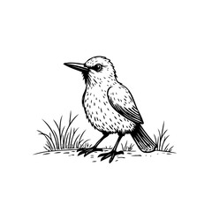 Monochrome illustration of a small bird perching on grass evoking nature and simplicity through