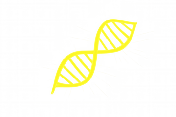 Abstract yellow dna strand illustration, symbolizing genetic science, genome, and biological innovation. Transparent background
