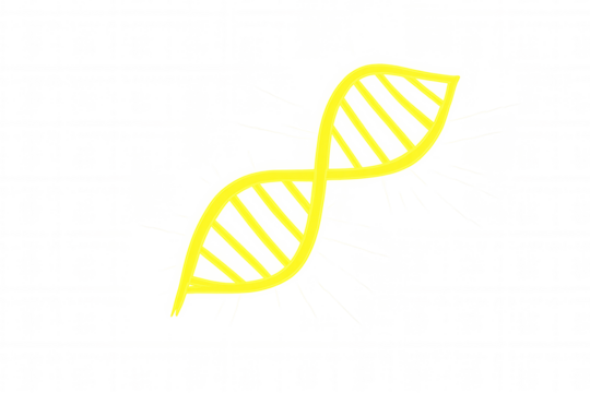 Abstract yellow dna strand illustration, symbolizing genetic science, genome, and biological innovation. Transparent background