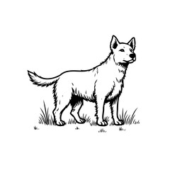 Simple monochromatic illustration of an attentive canine standing amidst vegetation creating a