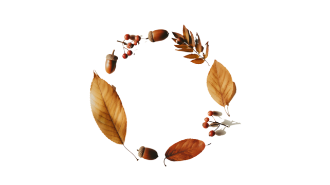 A circular arrangement of dried autumn leaves and small natural elements forming the shape of the letter o isolated on transparent background