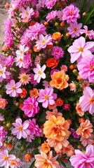 Vibrant Floral Spectacle: A close-up photograph of a stunning profusion of vivid, colorful flowers, showcasing their intricate details and celebrating nature's artistry.