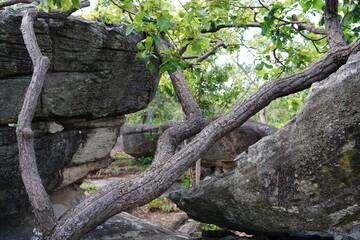 Phu Pha Thoep is a tourist attraction in Mukdahan.
