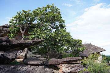 Phu Pha Thoep is a tourist attraction in Mukdahan.