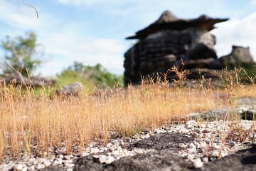 Phu Pha Thoep is a tourist attraction in Mukdahan.