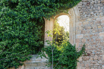 Old stone wall with arched window of ancient abandoned stone building overgrown by ivy and sunlight streaming through. Haunted ruined house facade covered with green plants