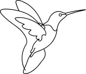 vector illustration of a bird