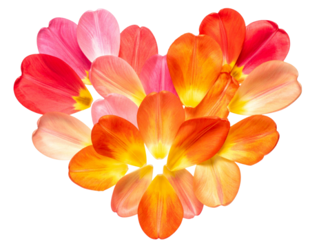 Romantic Tulip Petal Heart with Minimalist Styling