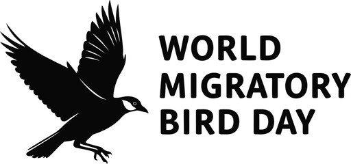 World Migratory Bird Day: Black bird silhouette in flight, freedom