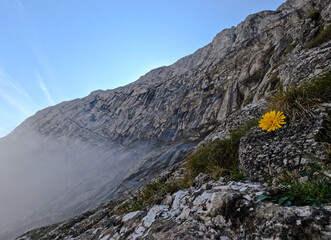 early fall on the mountains