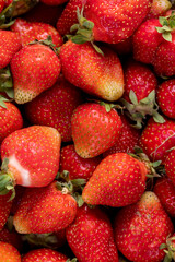 harvest of red sweet strawberries , red ripe strawberries after harvesting and preparing berries for sale