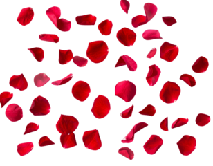 Falling Red Rose Petals, Romantic Flower Elements Isolated on Transparent Background
