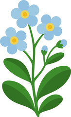 Forget-me-not Illustration – Myosotis Flower Vector