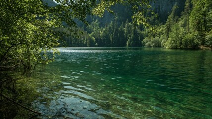 Obraz premium Serene lake with overhanging trees in sunlit forest. Artificial intelligence image