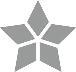 Silver five-pointed geometric star vector design