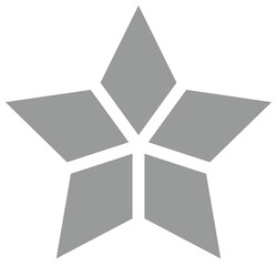 Silver five-pointed geometric star design