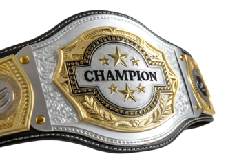 gold and silver championship belt wrestling champion prize