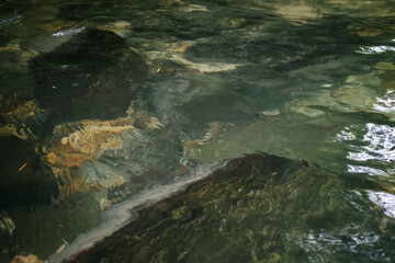 Clear shallow river water with visible rocks under the surface