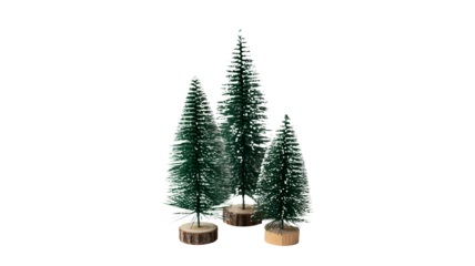 A cluster of miniature artificial pine trees with a frosted appearance standing on a dark surface isolated on transparent background