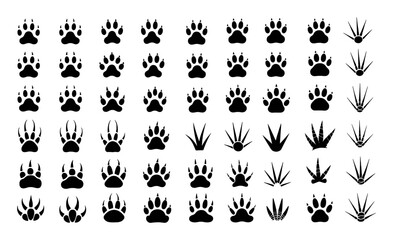 Collection of Animal Paw Prints and Footprints on White Background