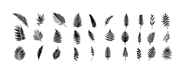 Collection of Black and White Hand-Drawn Tropical Leaves and Ferns