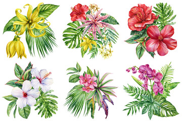 tropical flowers and palm leaves set watercolor painting hibiscus orchid ylang ylang exotic botanical illustration floral