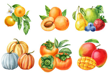 Watercolor set of mango persimmon apricot orange pear apple strawberry blueberry and pumpkins healthy seasonal food collection