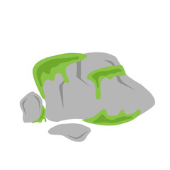 mossy rock illustration
